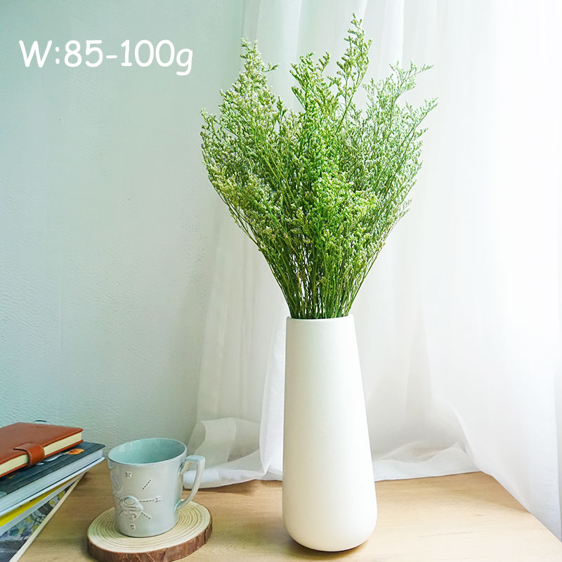 70g/Konserviertes Valentinstag – Dried Flower Bulk Bewertung und Preis