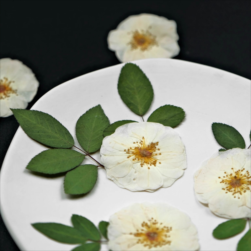 6 Stück, 9 Stück, natürliche w – Dried Flower Bulk Bewertung und Preis